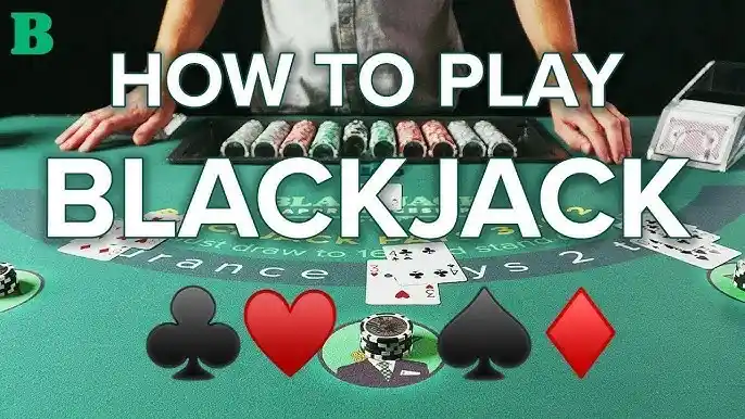 Introduction to PGasia Blackjack -1336753
