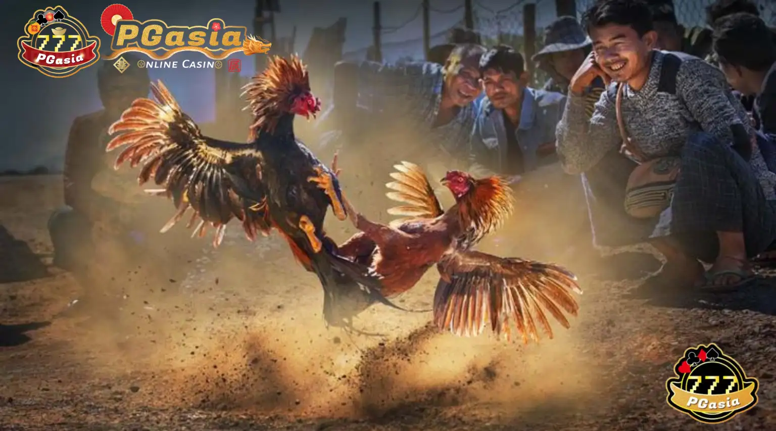 PGasia Cockfighting